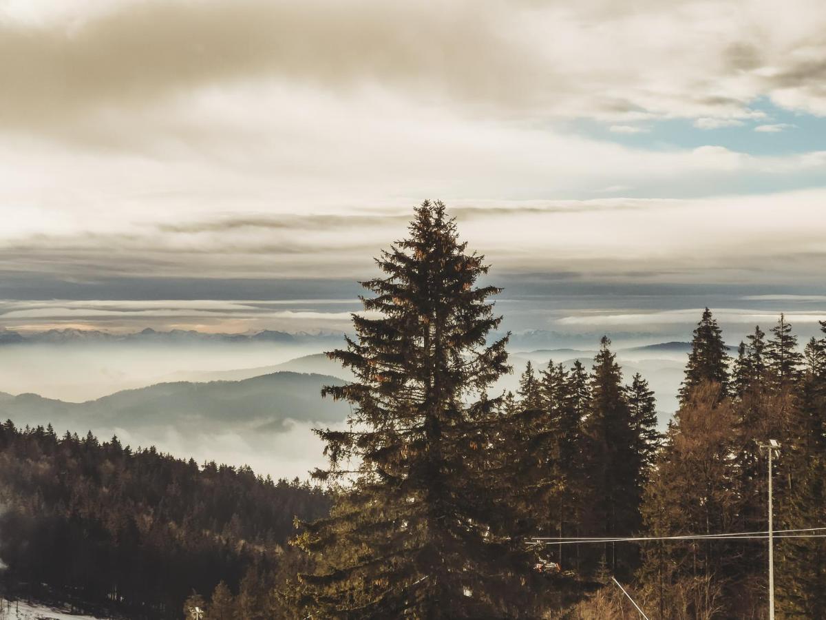 Boehmerwald Pur2 Klaffer am Hochficht Dış mekan fotoğraf